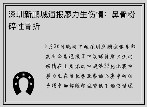 深圳新鹏城通报廖力生伤情：鼻骨粉碎性骨折