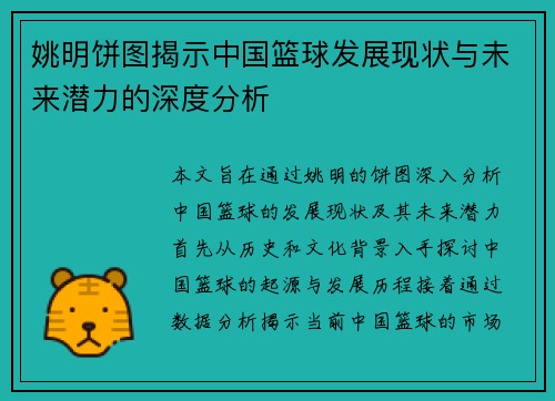 姚明饼图揭示中国篮球发展现状与未来潜力的深度分析